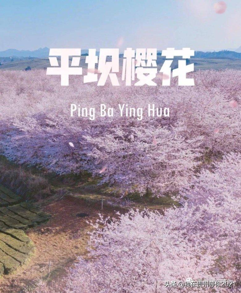 决战平安京