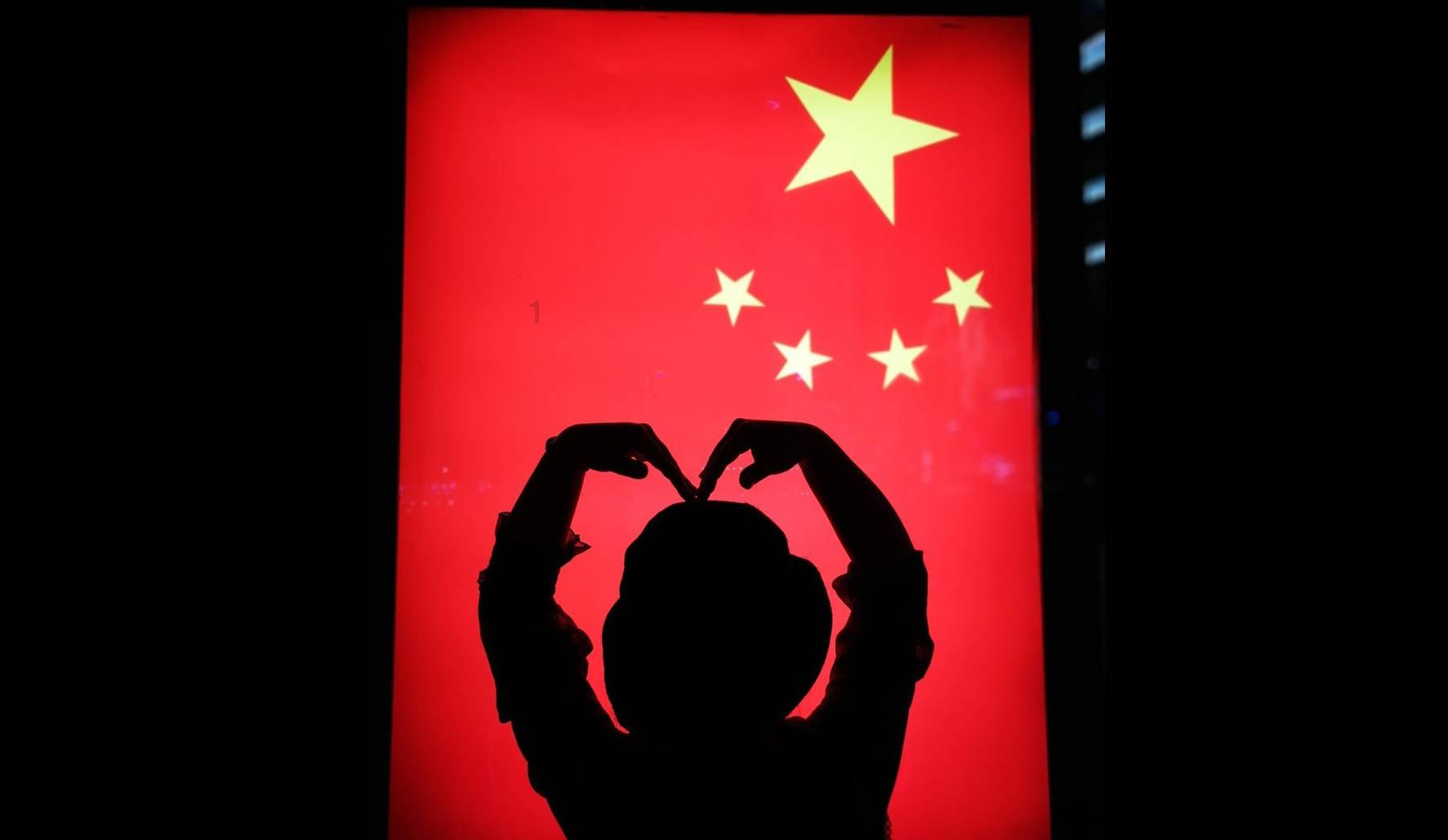 金刚鹦鹉逃生