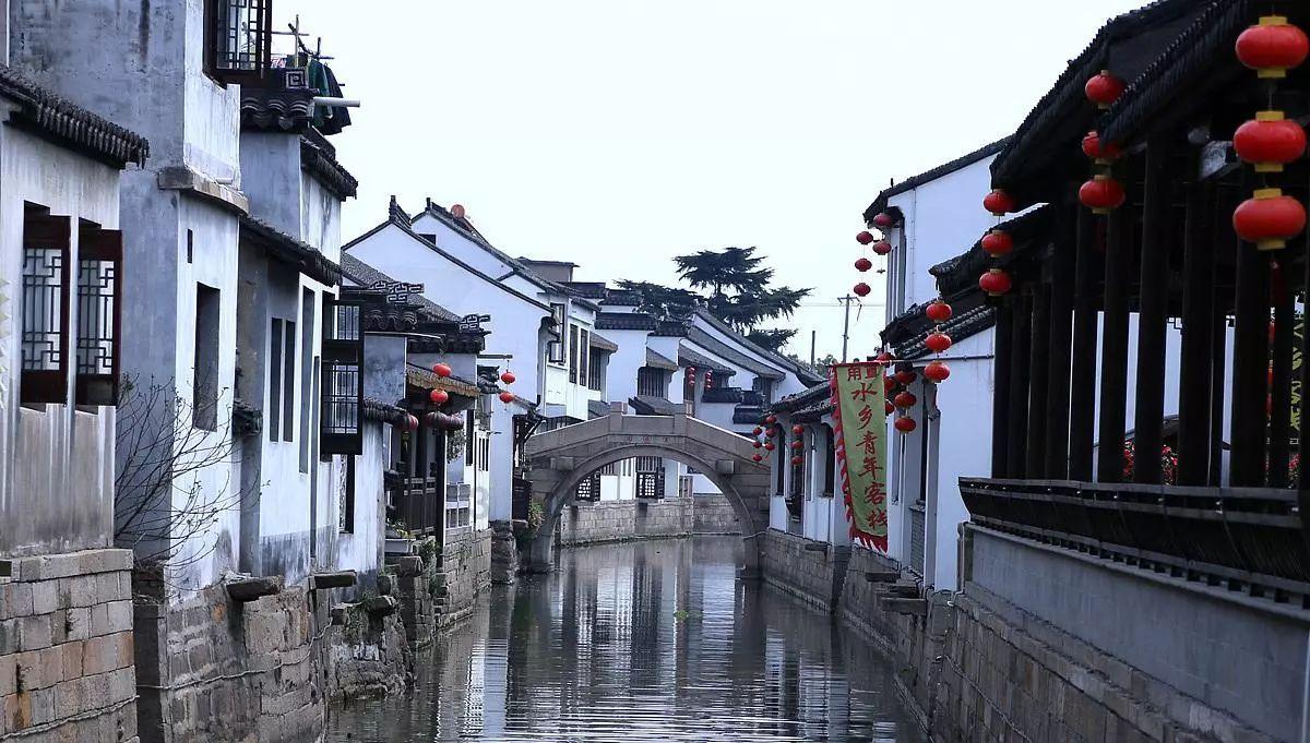 沙皮狗逃离